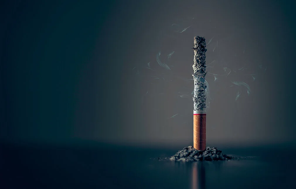A burned-down cigarette standing in its own ash